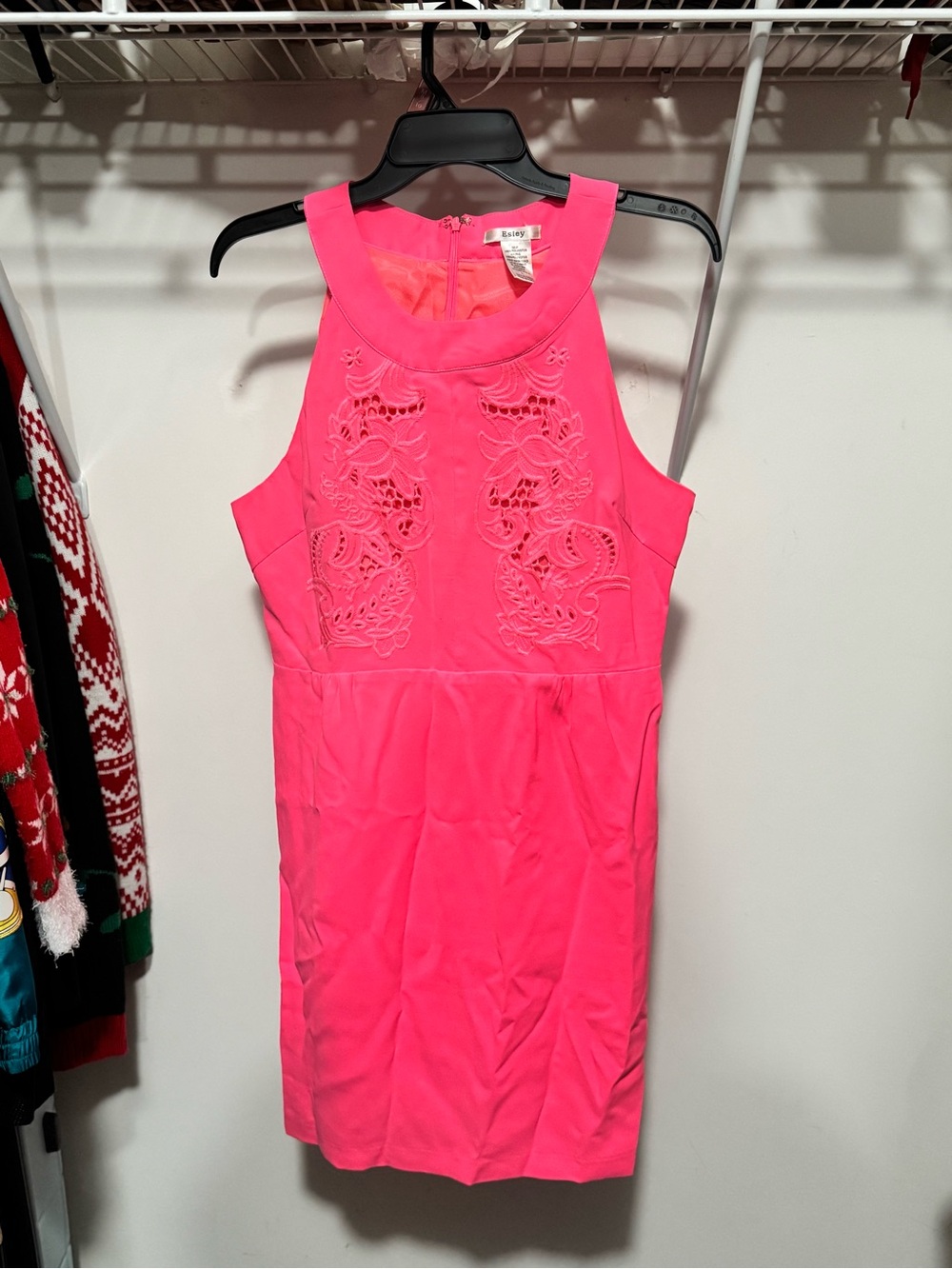 Esley Hot Pink Embroidered Sleeveless Dress